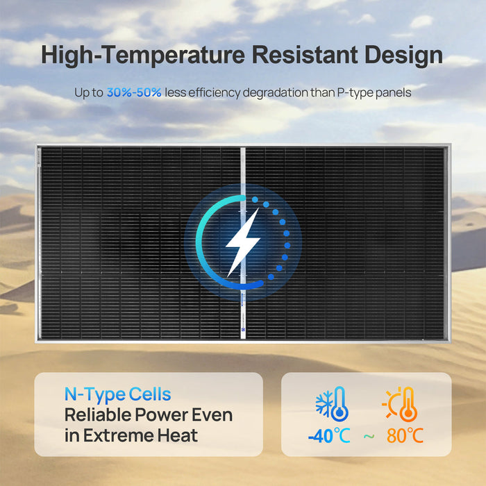 ECO-WORTHY 195W N-Type 18BB Bifacial Solar Panel