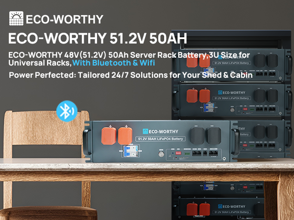 ECO-WORTHY 48V(51.2V) 50Ah 2.56kWh 3U Server Rack Lithium Battery