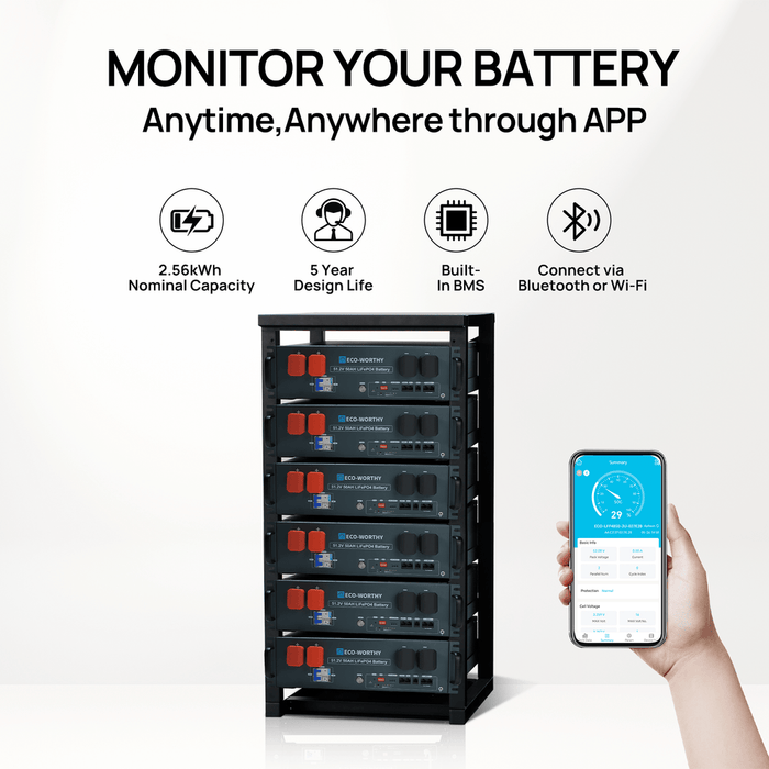 ECO-WORTHY 48V(51.2V) 50Ah 2.56kWh 3U Server Rack Lithium Battery