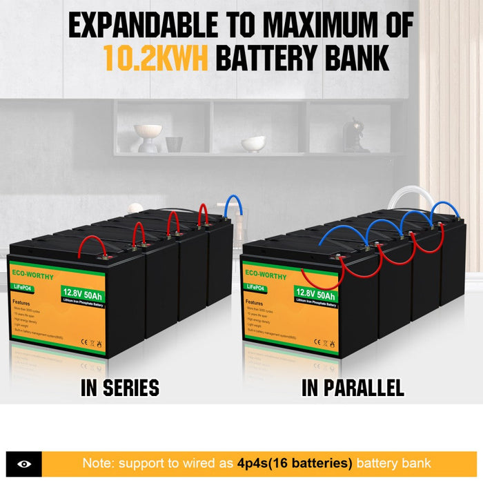 ECO-WORTHY LiFePO4 12V 50Ah Lithium Iron Phosphate Battery